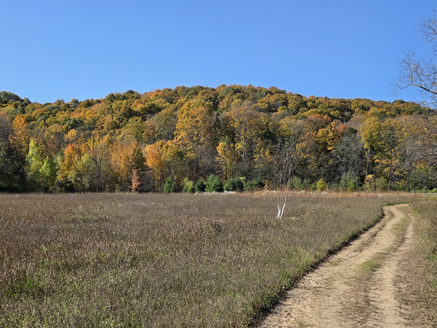 Autumn colors in Traverse City